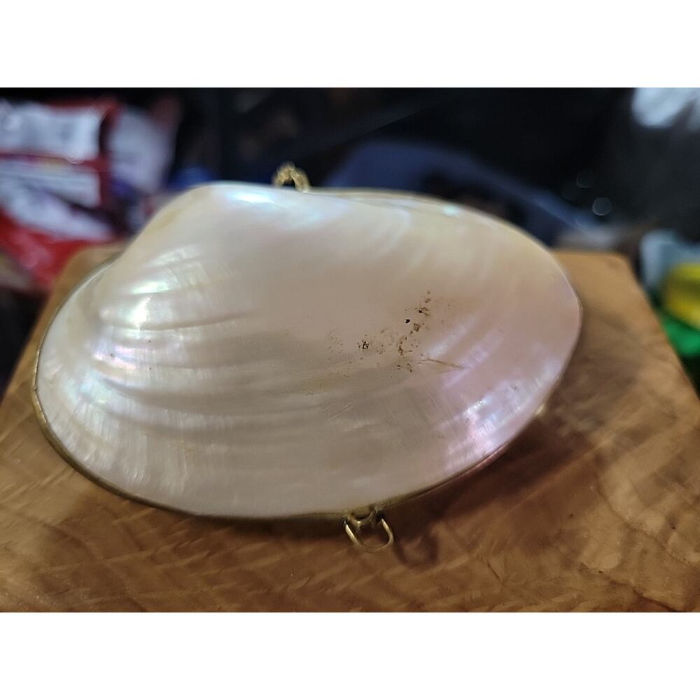 Vintage Mother of Pearl Clam Shell Trinket Box Brass Hinged Clam